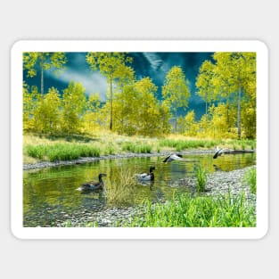 Mallard ducks in the lake Sticker